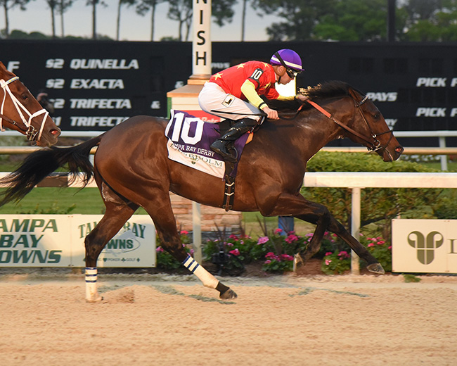 Kentucky Derby Pedigree Profile: Quip