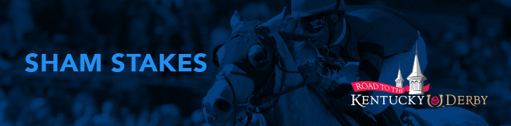 https://www.twinspires.com/adw/assets/drupal/sites/twinspires.com/files/s3fs-public/ShamS_RacePageBanner.jpg