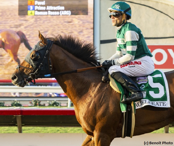 Accelerate tops Breeders’ Cup Future Wager Classic pool, Monomoy Girl favored in Distaff pool