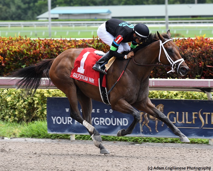 How to bet the Raven Run Stakes