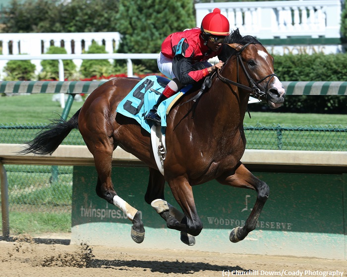 Downs After Dark AllStakes Pick 3 Play Horse Racing Betting Bet