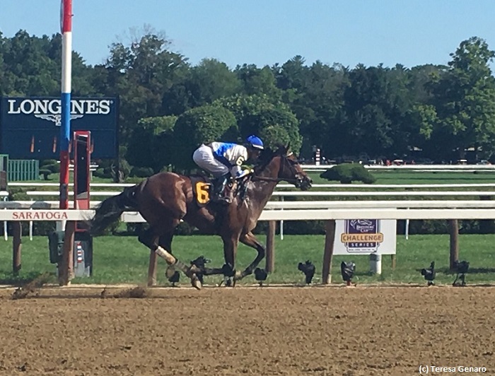 How to bet the Hopeful Stakes Horse Racing Betting Bet Online with