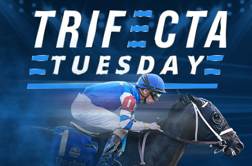 Trifecta Tuesday Offer by TwinSpires