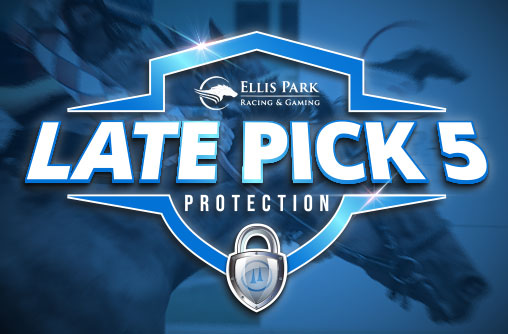 20250804 Ellis Park Late Pick-5 Protection