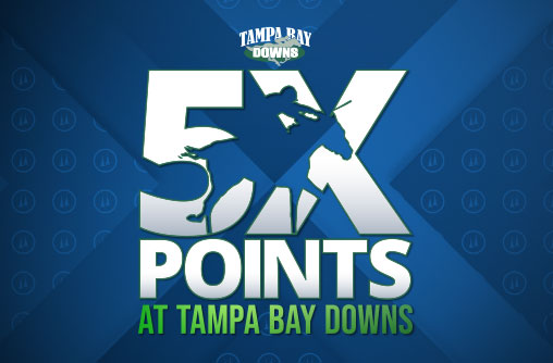 20260304 5X Rewards Points at Tampa Bay Downs