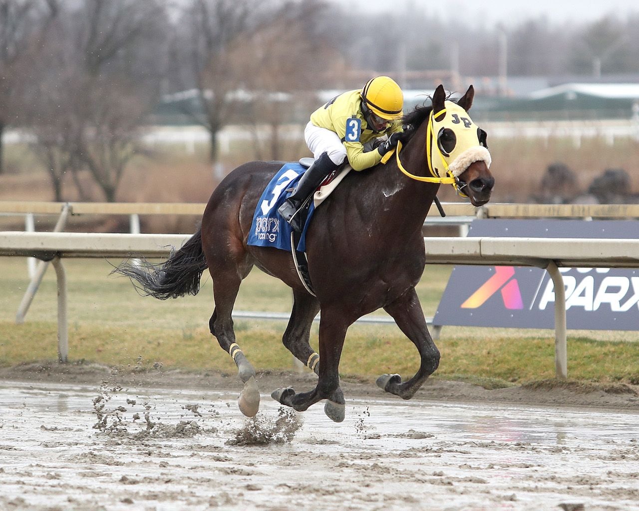 Lonsome Boy wins at Fair Grounds (Photo by EquiPhoto)