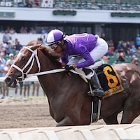 Miss New York wins the Boiling Springs Stakes at Monmouth Park.