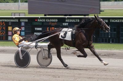Monkey Man Harness Racing Wagering Handicap Preview