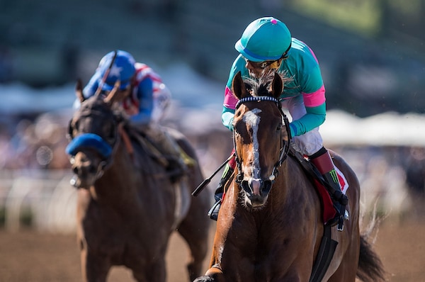 Santa Anita Breeders' Cup Preview