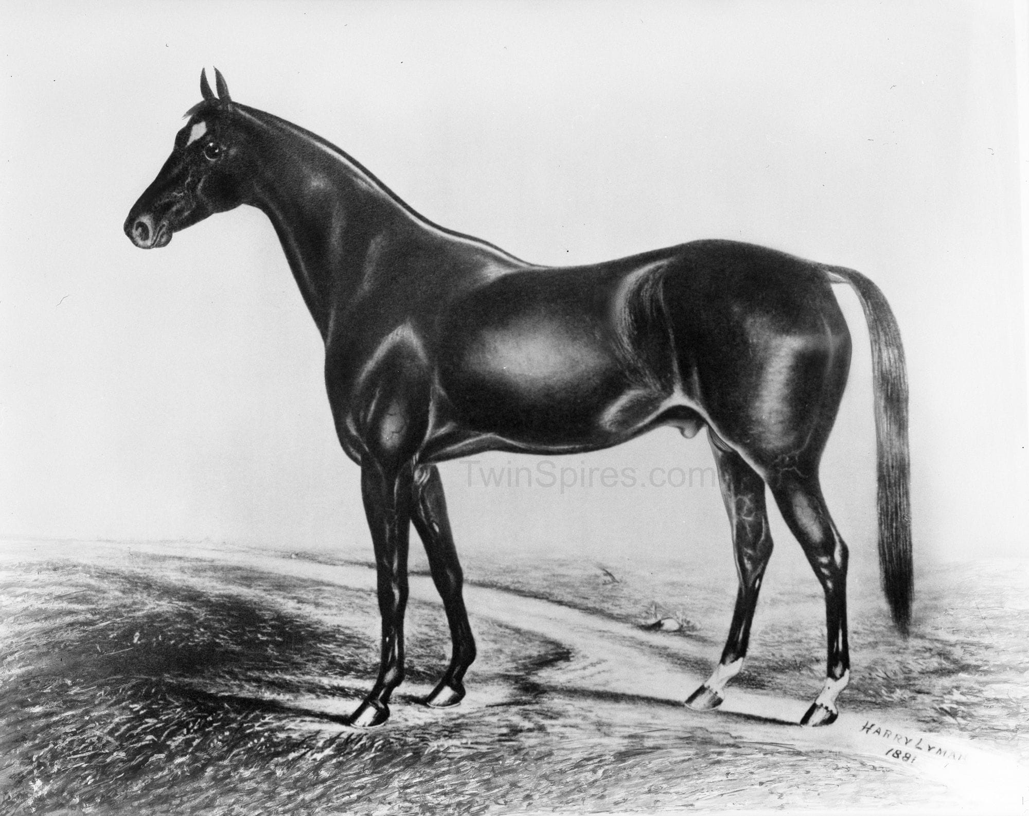 Kentucky Debry winner Aristides