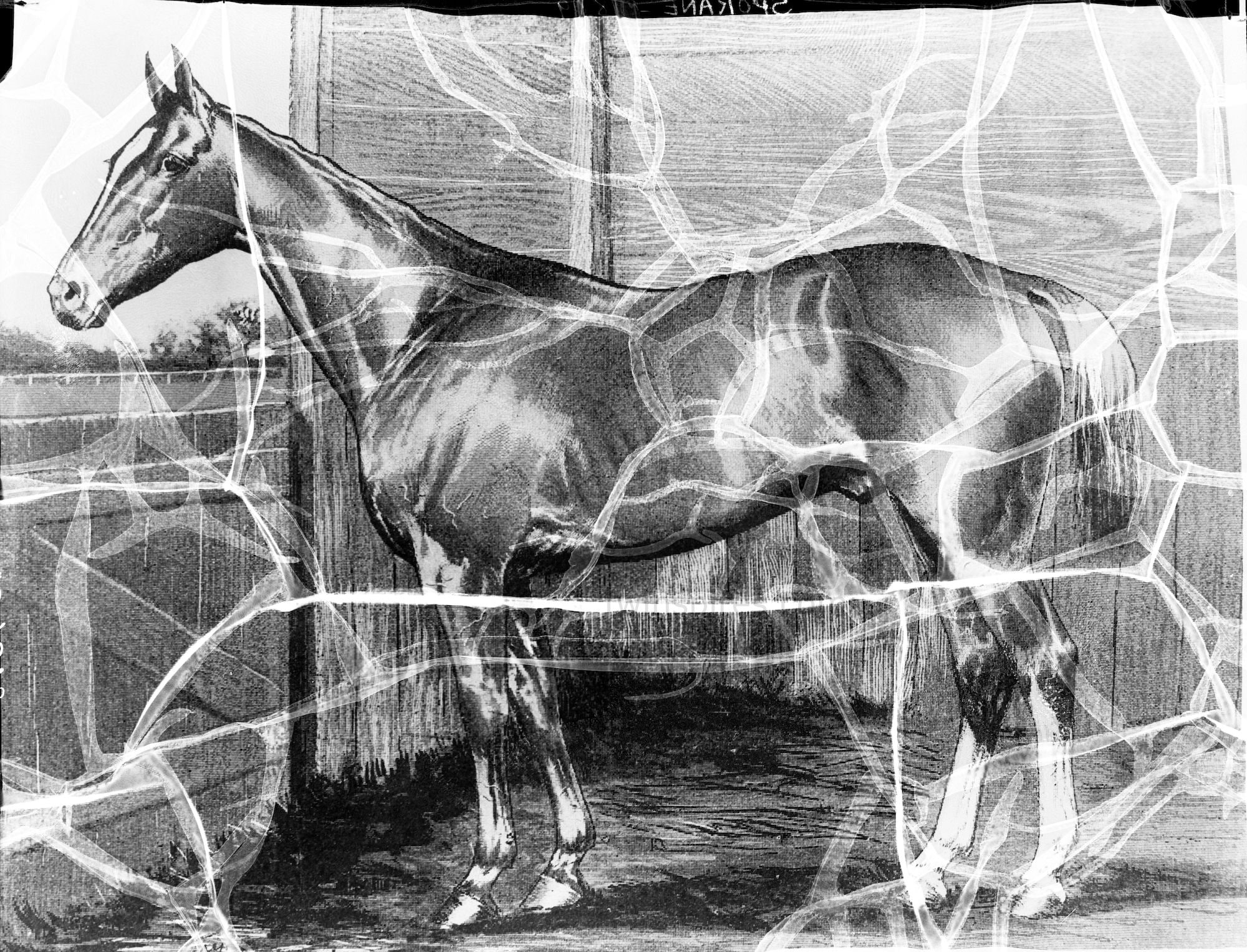 Spokane 1889 Kentucky Derby Winner