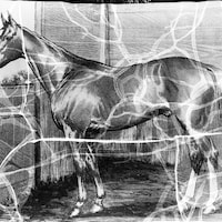 Spokane 1889 Kentucky Derby Winner