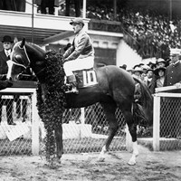 1917 Kentucky Derby Winner Omar Khayyam