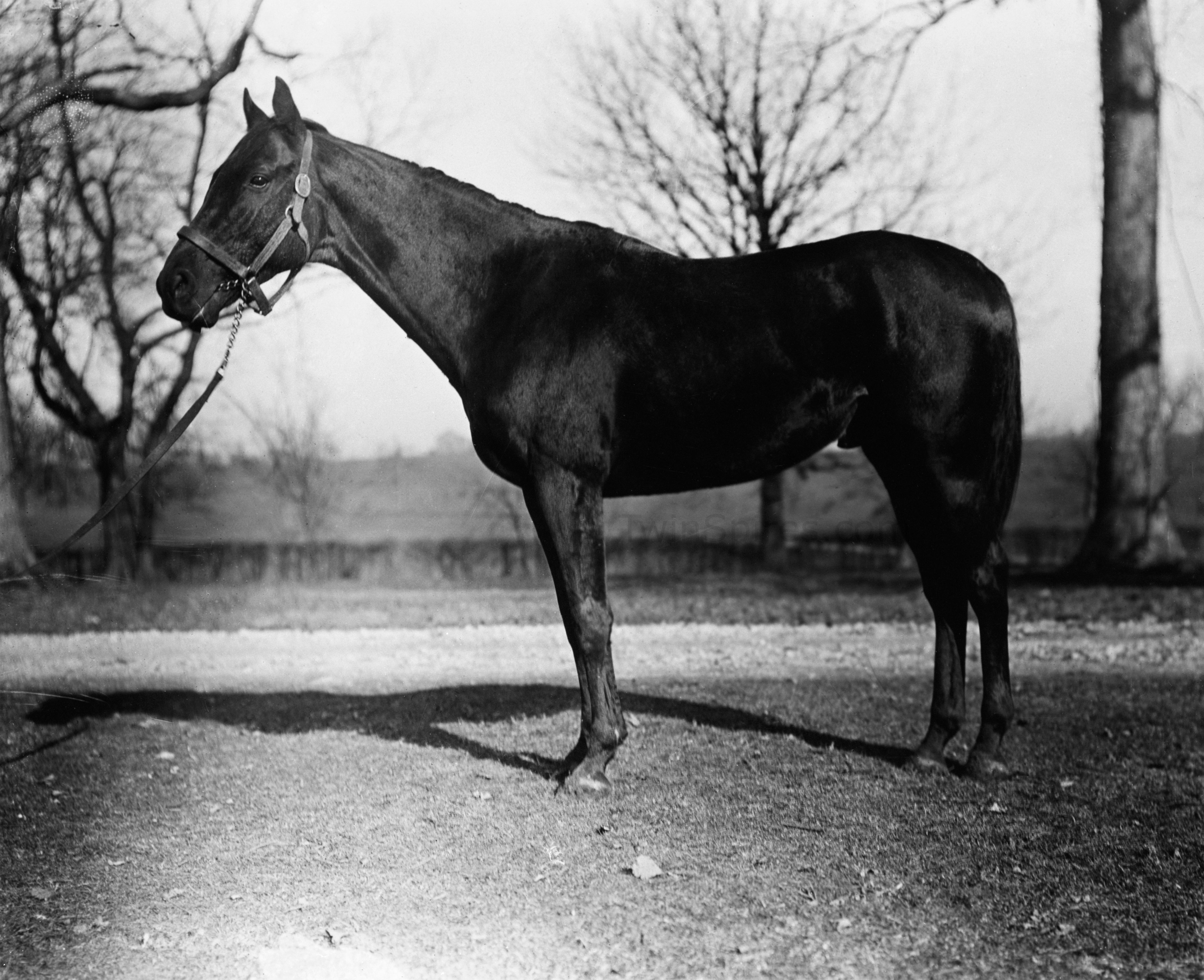 Exterminator in 1918