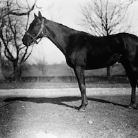 Exterminator in 1918