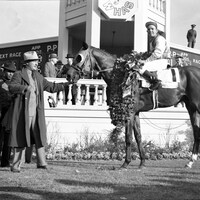 1940 Kentucky Derby winner Gallahadion