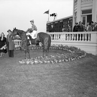 1947 Kentucky Derby winner Jet Pilot