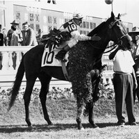 Dark Star wins the 1953 Kentucky Derby 