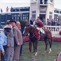 Northern Dancer in the winners circle during the 1964 Kentucky Derby.