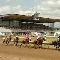Finger Lakes horse racing (Photo courtesy of Finger Lakes)