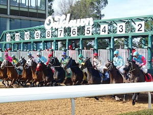 Racing at Oaklawn Park.