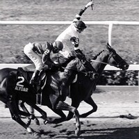 Affirmed 1978 Belmont Stakes (Bob Coglianese)