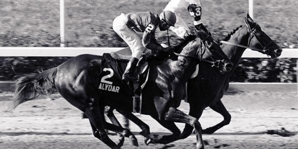 Affirmed 1978 Belmont Stakes (Bob Coglianese)