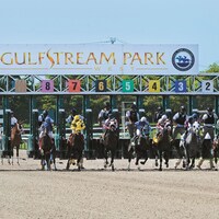 Racing at Gulfstream Park.