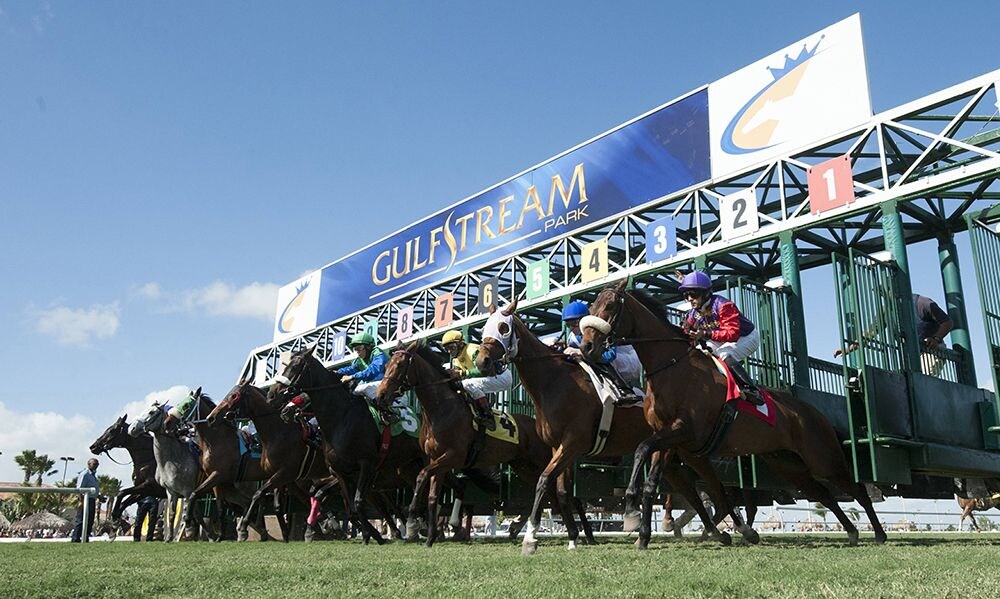 Racing at Gulfstream Park