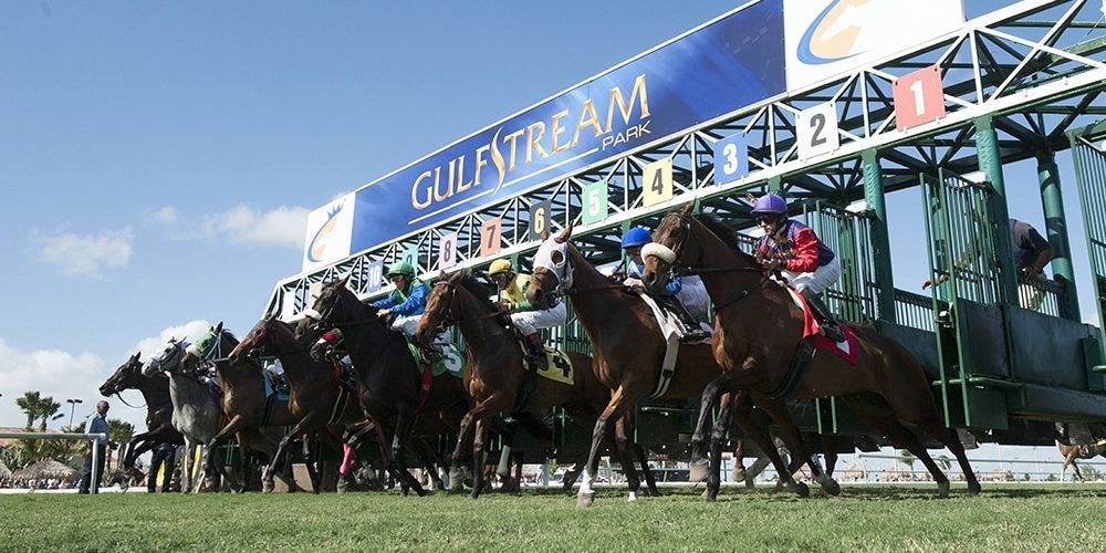 Racing at Gulfstream Park