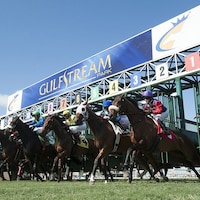 Racing at Gulfstream Park