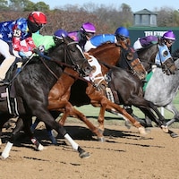Racing at Oaklawn Park