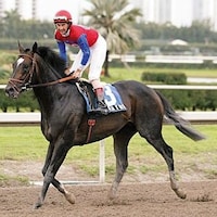 Medaglia d'Oro