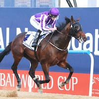Mendelssohn winning the UAE Derby (Photo courtesy of Dubai Racing Club)