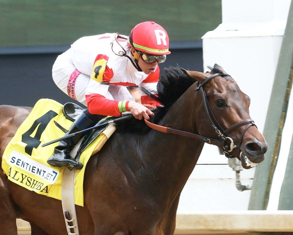  Backyard Heaven winning the Alysheba Stakes (gr. III) (Photo by Coady Photography/Churchill Downs)