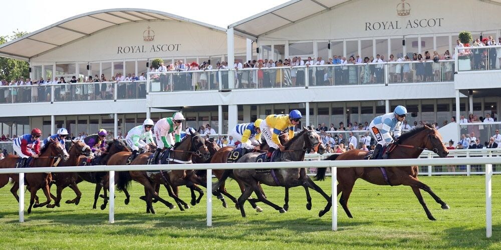 Racing at Ascot (Photo by Horsephotos.com/Frank Sorge)