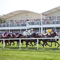 Racing at Ascot (Photo by Horsephotos.com/Frank Sorge)