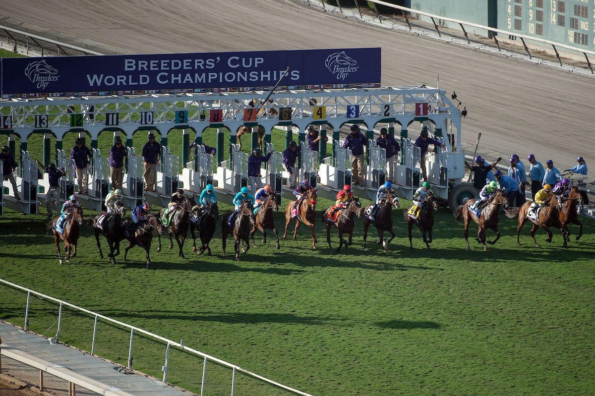 The field breaks from the gate at the start of the 2016 Breeders' Cup Juvenile Fillies Turf at Santa Anita