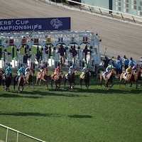 The field breaks from the gate at the start of the 2016 Breeders' Cup Juvenile Fillies Turf at Santa Anita