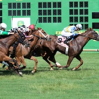 Racing at Ellis Park.