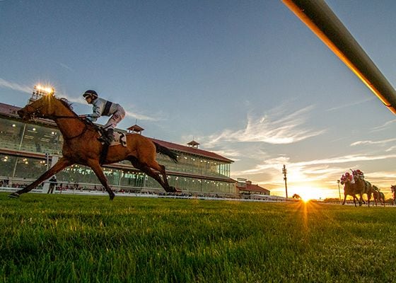 Fair Grounds
