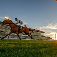 Fair Grounds