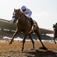 Eventual Triple Crown winner Justify wins the Santa Anita Derby (G1).