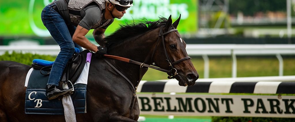 Belmont Park (Carson Dennis/TwinSpires.com)