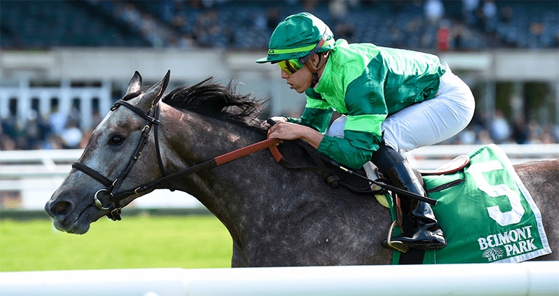 Homerique winning the New York Stakes (G2) at Belmont Park (Photo by Coglianese Photography)