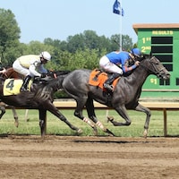 Racing at Ellis Park.