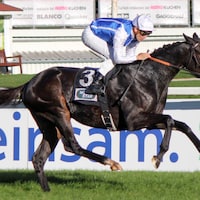 Junko (Photo courtesy of Race News and Hong Kong Jockey Club)