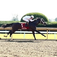 Federal Judge wins the Phoenix (G2) at Keeneland