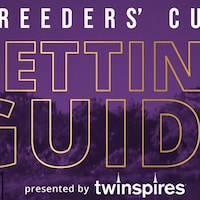 Breeders' Cup Betting Guide