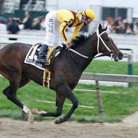Preakness Stakes